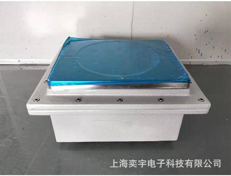 防爆电子称