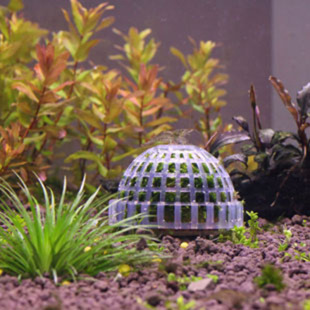 Qianrui Fish Tank Landscape Water Grass Decoration Mosi Ball Water Grass Planting Landscape Fish Tank Decoration Mineral Basin