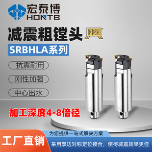 ̨��RBHƷ��SRBHLA�µ����{�p�д��M��8�������M�^���M����