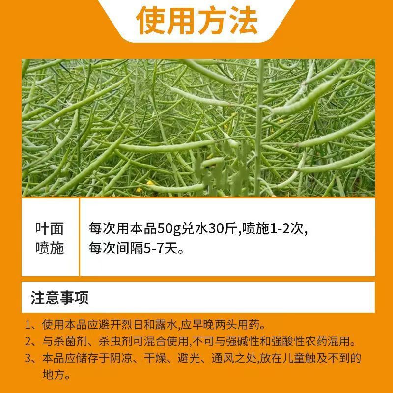 微信图片_20241127185208