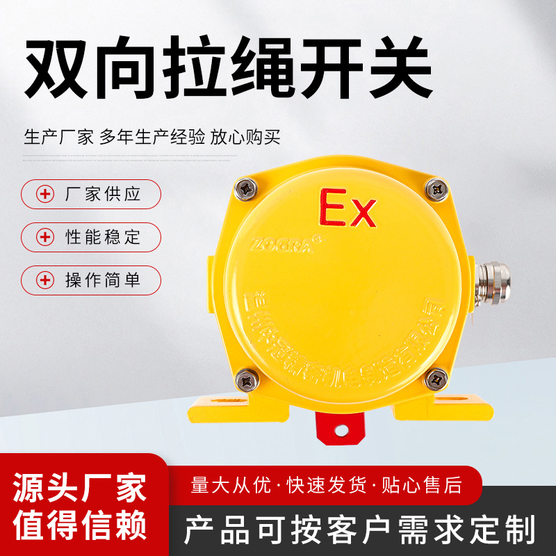 皮带输送机安全事故急停拉线拉绳开关 手自动  防爆拉绳开关 现货