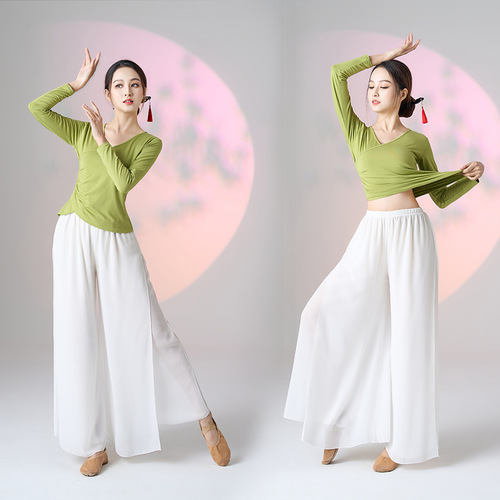 Fengti's new square dance costume, ethnic dance, classical dance suit, elegant long skirt pants, modal performance costume