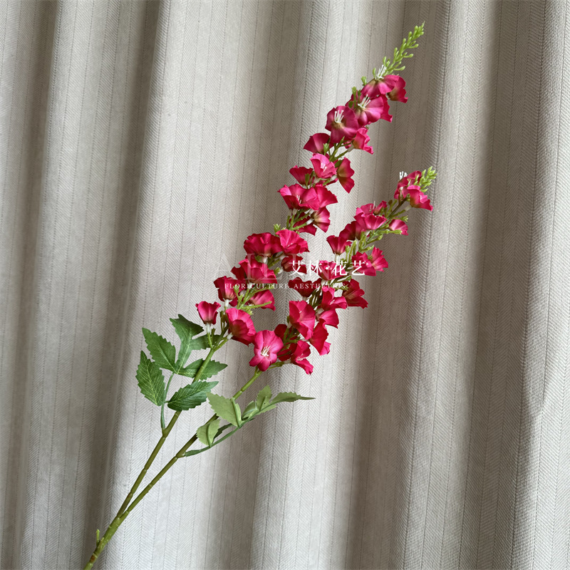로즈 레드