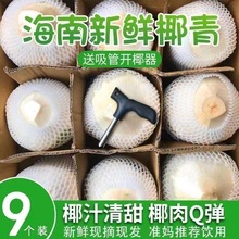 海南文昌去皮椰青椰子水9个装 新鲜生椰孕妇当季整箱水果椰子带皮