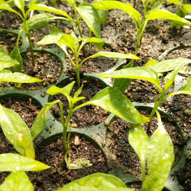 279759ee3d6d55fbaec34ed361224f