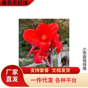 һl9.9Ԫ5ѿ˽NֲͥԺ׻