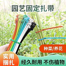 ����ʽ���������������ʽ�ɲ�ж��ɫ���ψ@ˇ�������؏�ʹ�ÿ���