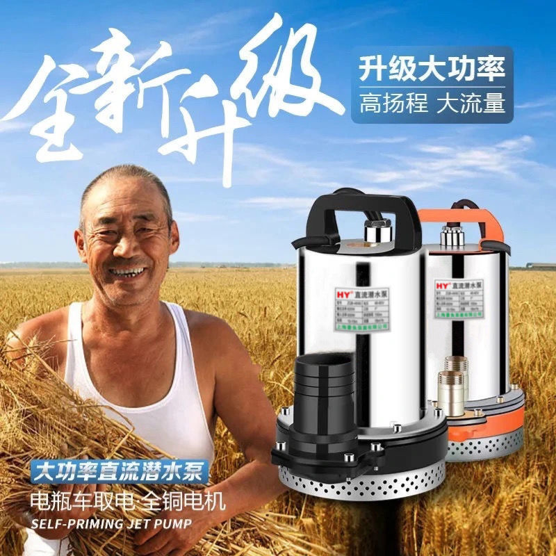 直流潜水泵浇菜12V24V48V60V种田农用船用直流泵电动车电瓶抽水机