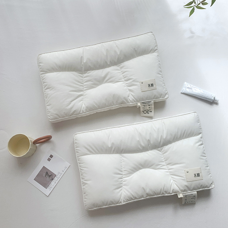 Reprehenderit qui in ea