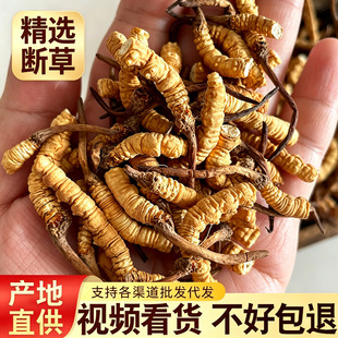���ڴ��ݸ�؛�ຣ�x��������������Ұ�����x�Ĳ��Լ���ɢ؛���l