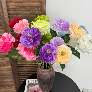 ¶ɏ����ٻ���c��Y���Ô[���û����ļٻ��Ƶ�Ҿ����P�[���ٻ�