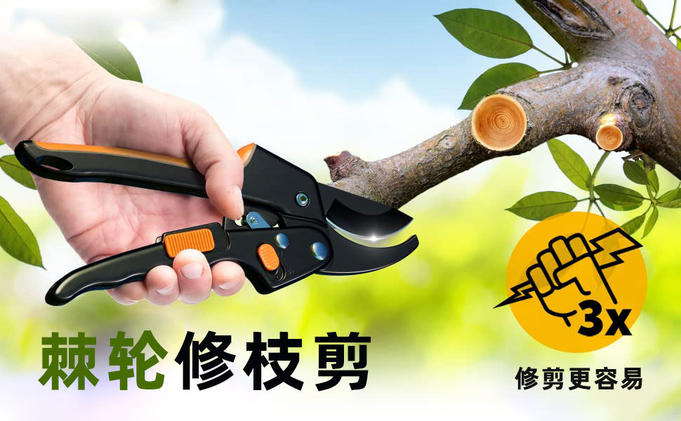 O1CN01vAoW9p1kAXn1qTOIc_!!9836