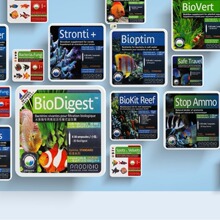 Ƶ ˮȫϵЮaƷ  lһl