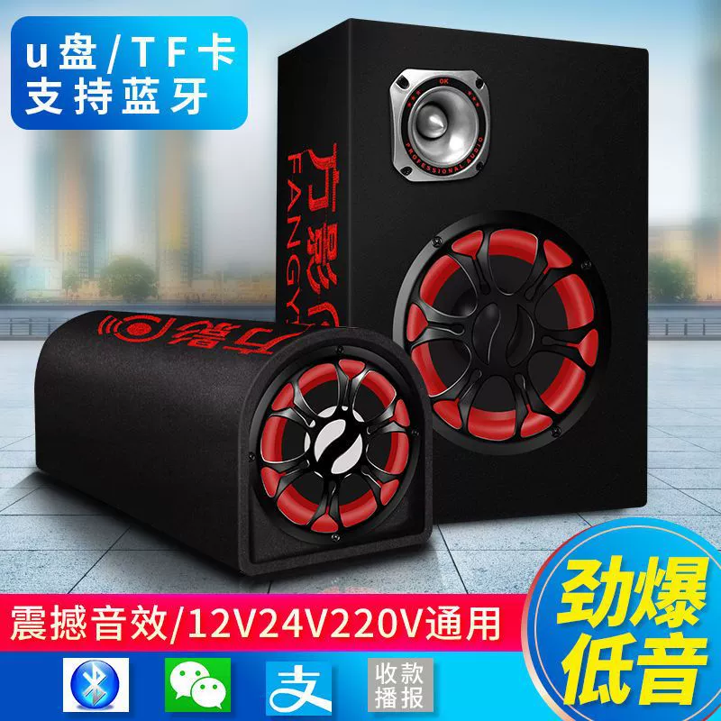 Портативный ноутбук, динамики, 12В, 24В, высокая мощность, Bluetooth, 220В