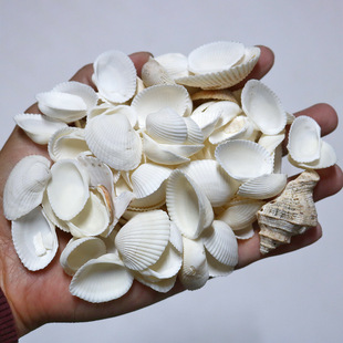 Сëؐ��Ȼ��ؐ��ѩؐѩ����ؐ�������S�ƿ΢���^Ϟ�T�쾰�b�