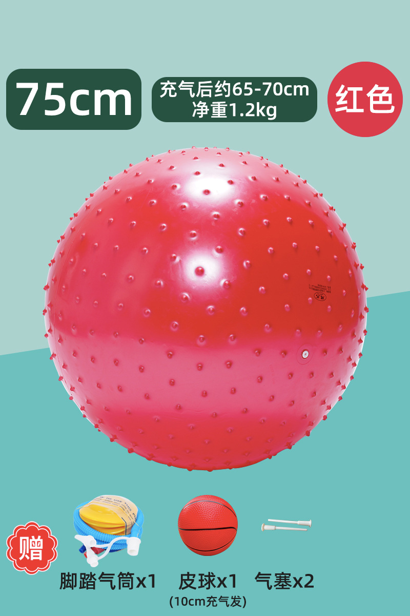 Entrenamiento sensorial infantil tactile masaje yoga bola de dragón juguetes de pelota equipo de acondicionamiento físico granular jaula bola de dragón