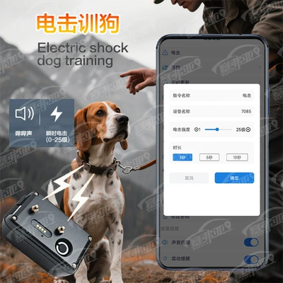 GPS Locator Waterproof Rainproof Large Dog Training