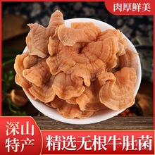 牛肚菌干货500克包邮散装榆耳菌灵芝菇鹿肝菌侧耳菌榆黄菇