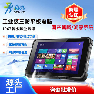 8/ 10.1inch Industrial Tablet Computer with Domestic Kirin Hongmeng System, Explosion-Proof Handheld Pad, Three-Proof Reinforced