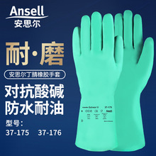 ansell˼37-175/176z|ڱĥz҄