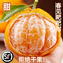 �ָ�5��9�����rˮ�����䮔���������Ӹ��ٽ��ӽ���ɰ���̶ָ�֭