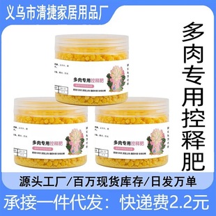 Succulent Controlled-Release Fertilizer Nitrogen, Phosphorus and Potassium Nutritional Granules Flower Plants Universal Home Gardening Slow-Release Fertilizer