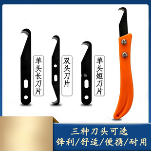 ��Y���㽶���h��Ƭ�������������Ƥ����s��С砵������S����