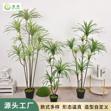 ����Gֲܛ�z��Ѫ��ǧ��ľ�p���҃ȴ�������b�ֲ��������Ѫ��