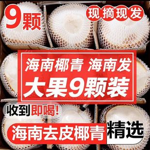 ����Ҭ����4/6/9���F�������rҬ��С��ʳ�м��xֱ�l