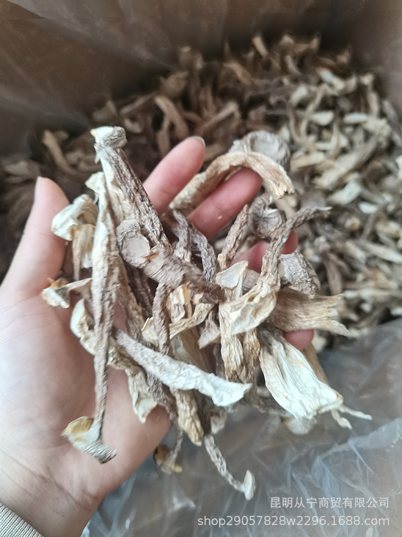 Dried Deer Antler Mushroom 500g Premium Edible Fungus for Soup and Stir Fry quality and texture