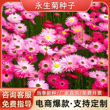 շNļ׷N׻҃ͥԺԻш@־^N