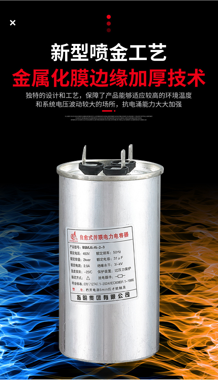 BSMJ电容器_08