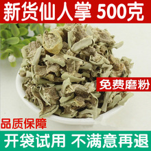 仙人掌干食用现磨仙人掌干粉仙人掌干干果500g真货好货