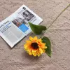 Single -raising sunflower (explosive promotion)