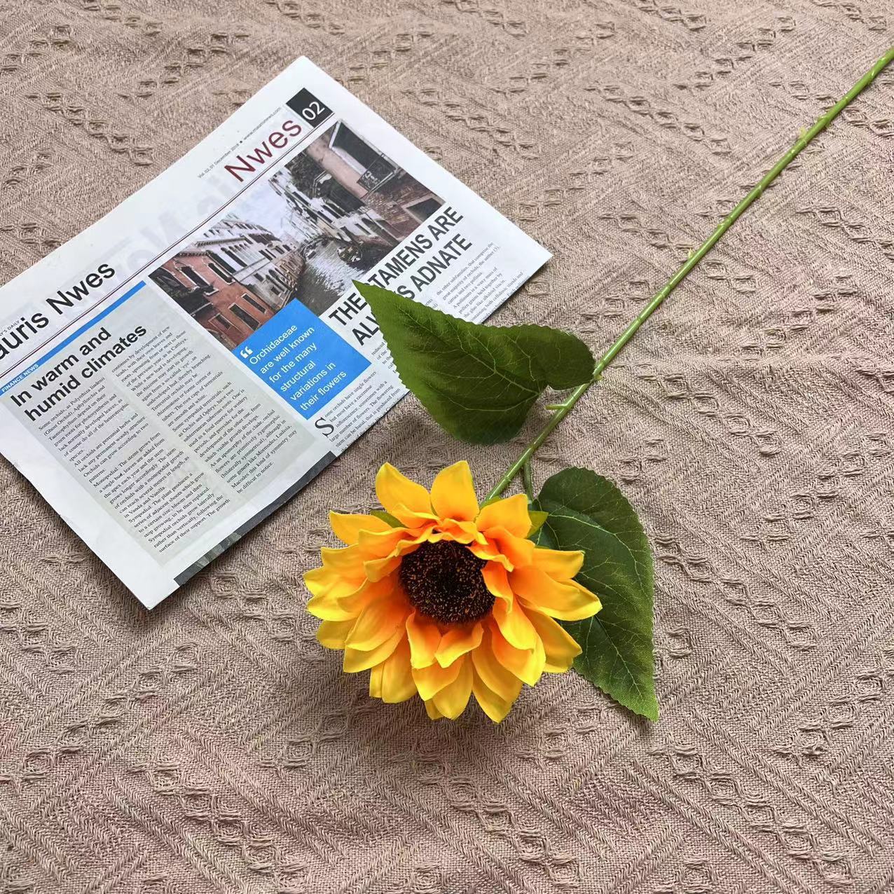 단일 해바라기 (폭발 촉진)