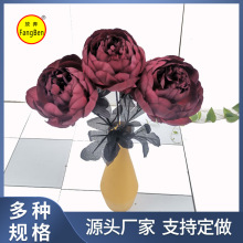 ���滨ĵ����֧�ٻ��b��҃ȔzӰ�[�O������ɫ�����Gֲ�߷���