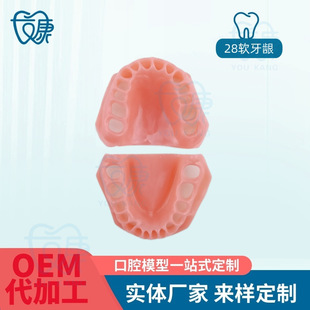 28 Tooth Preparation Soft Gum Silicone Soft Gum Tooth Preparation Silicone Gum Silicone Gum Model Full Silicone Gum