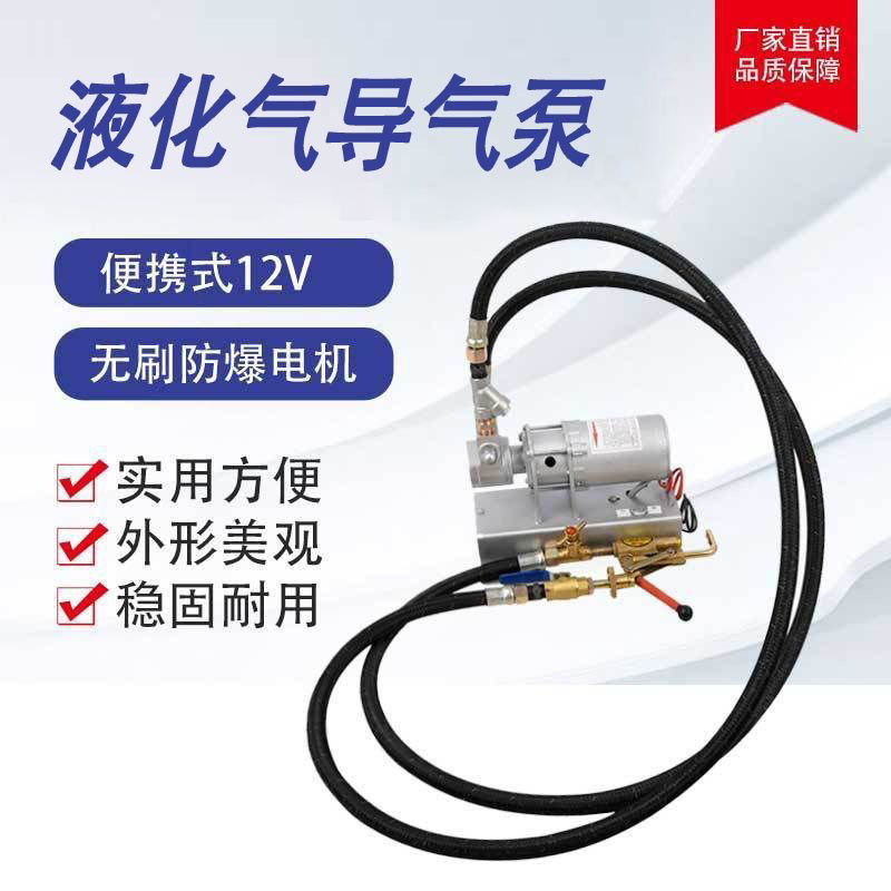 12v导气泵12伏充气泵丙烷泵车载倒气泵导气泵加气泵其它不锈钢