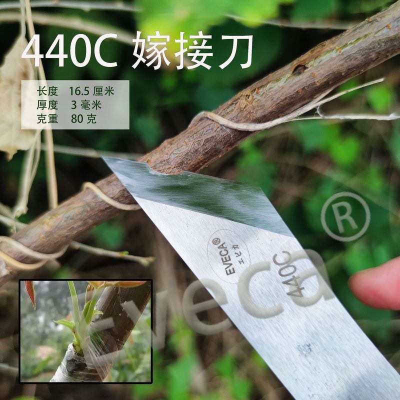 园艺专用440c不锈钢锋钢嫁接刀芽接刀高硬度去毛刺植物花卉多肉|undefined