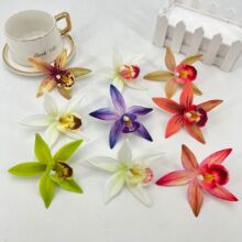 Դ�^���S���滨3D���������m���^ٻ�ñ���ػ�Ь���b�