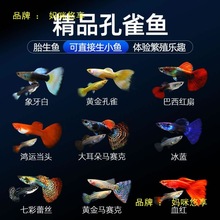 ��ȸ���BС�~���B�~�絭ˮ�ͻ��^�p��ˮ�ᎧС���Pβ���~���~���R