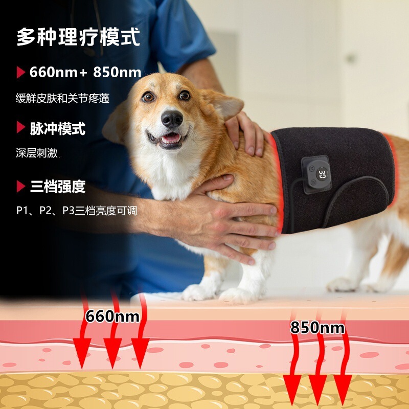 ペット赤色光理学療法装置背中と腹部の損傷骨折遠赤外線ペット赤色光理学療法ふくらはぎパッド赤色光治療装置|undefined