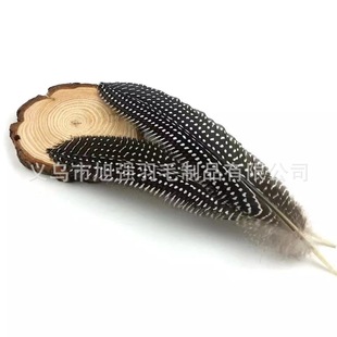 �F؛ ������ë15-20cm ñ�������ë ����C�����ë ��̨������