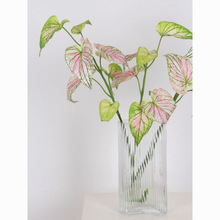 ���滨ֲ��Gֲ3�ָз۾Gɫ�����~�ҾӲ����b廨���Լٻ����]