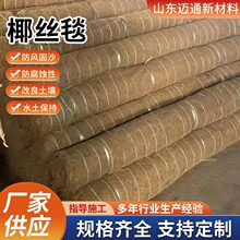 ���_Ҭ�z̺���B�G��ֲ��̺�ӵ��o��̺���ﱣ��ֲ̺���w�SҬ�z̺