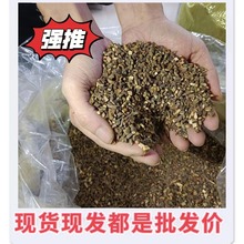 ]l؛֦֦500˸Ʒ|șğos|oѬȾִ֧