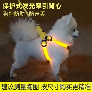 Dog Collar Traction Rope Vest LED Luminous Chest Back Teddy Chain Four Seasons Luminous Dog Rope Small USB Charging
