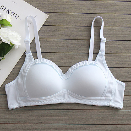 Cute Girls' Bra for High School Students, Small Cup, Push-up Design, Developmental Bra, Thin Lace Bra for Young Students