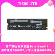 新品致态ZhiTai 长江存储Ti600 500G\1T\ 2TB SSD电脑M.2固态硬盘