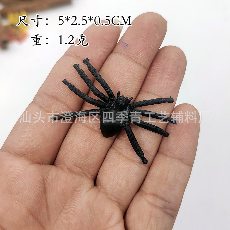 Spider no. 3